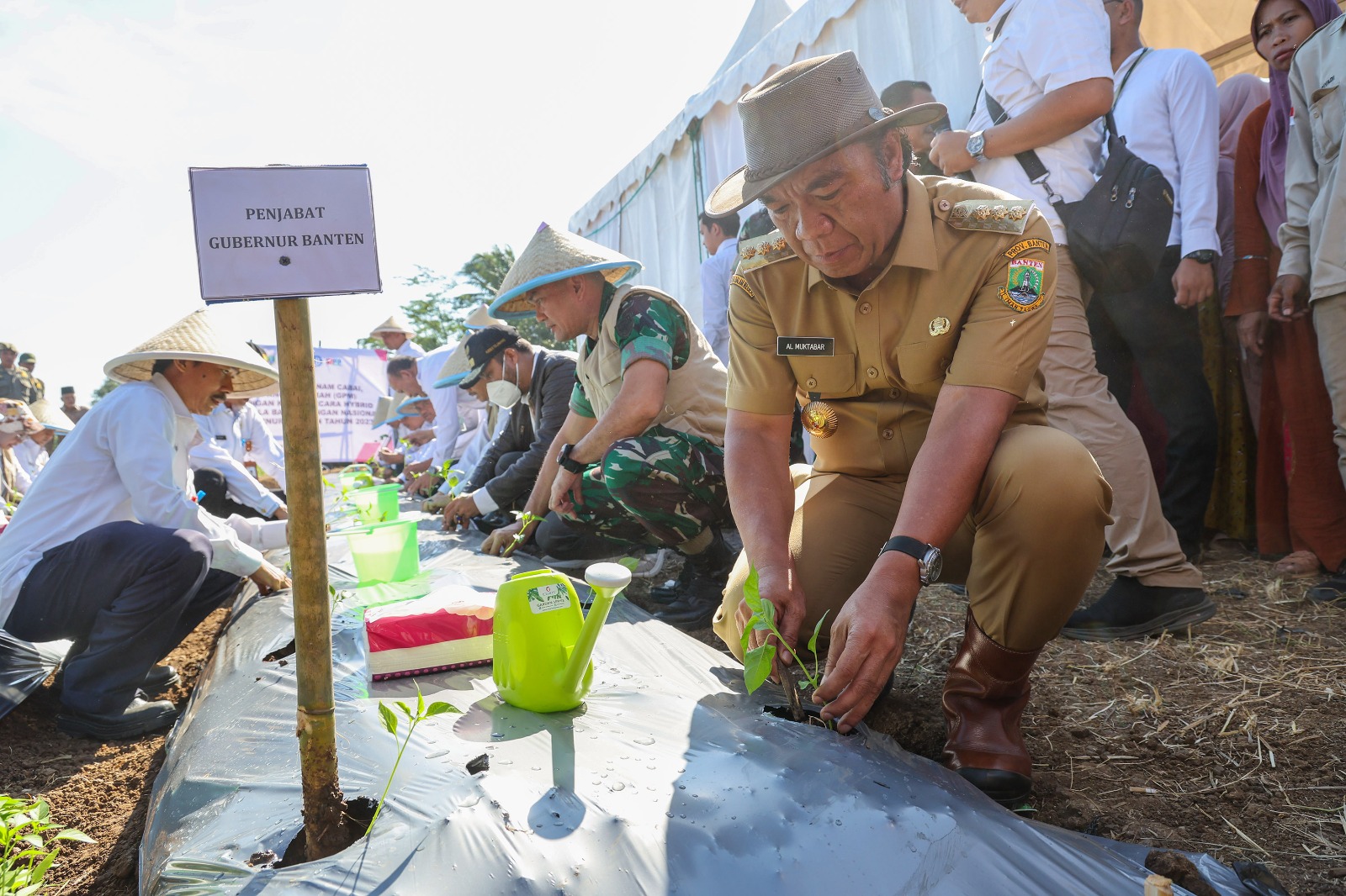 Banten Panen Cabai Rawit di Lahan 12 Hektare