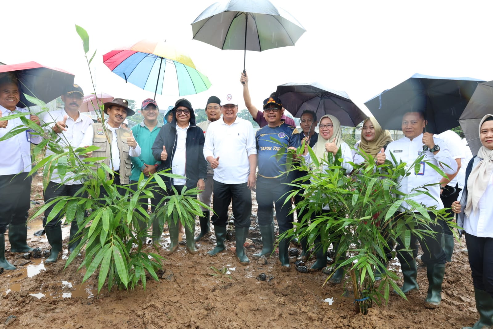 Bupati Tanam Bambu di RTH Cisoka, Pelestarian Lingkungan dan Identitas Daerah