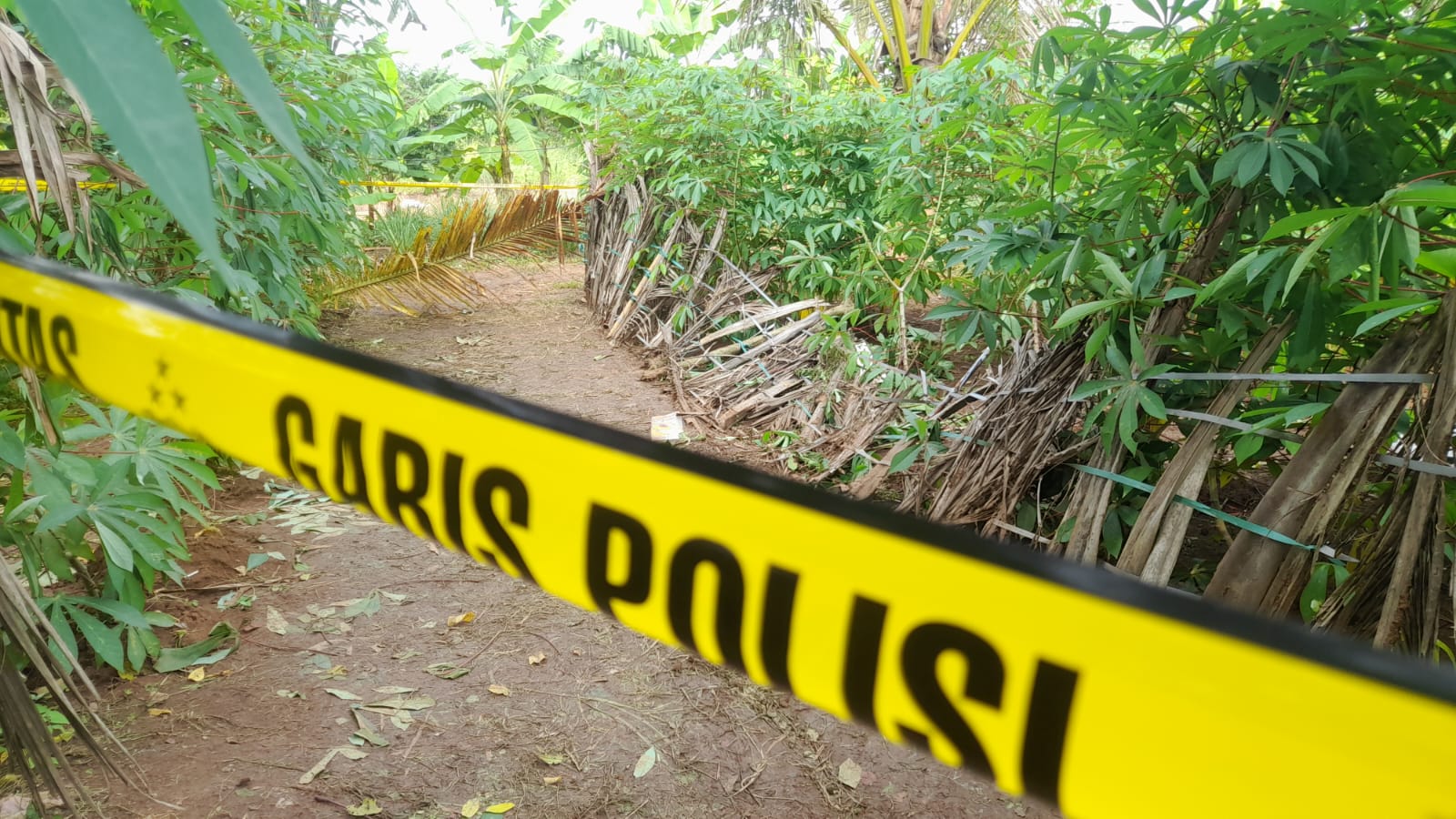 Penemuan Mayat Pemuda di Belakang Pasar Kemiri, Diduga OD Akibat Miras