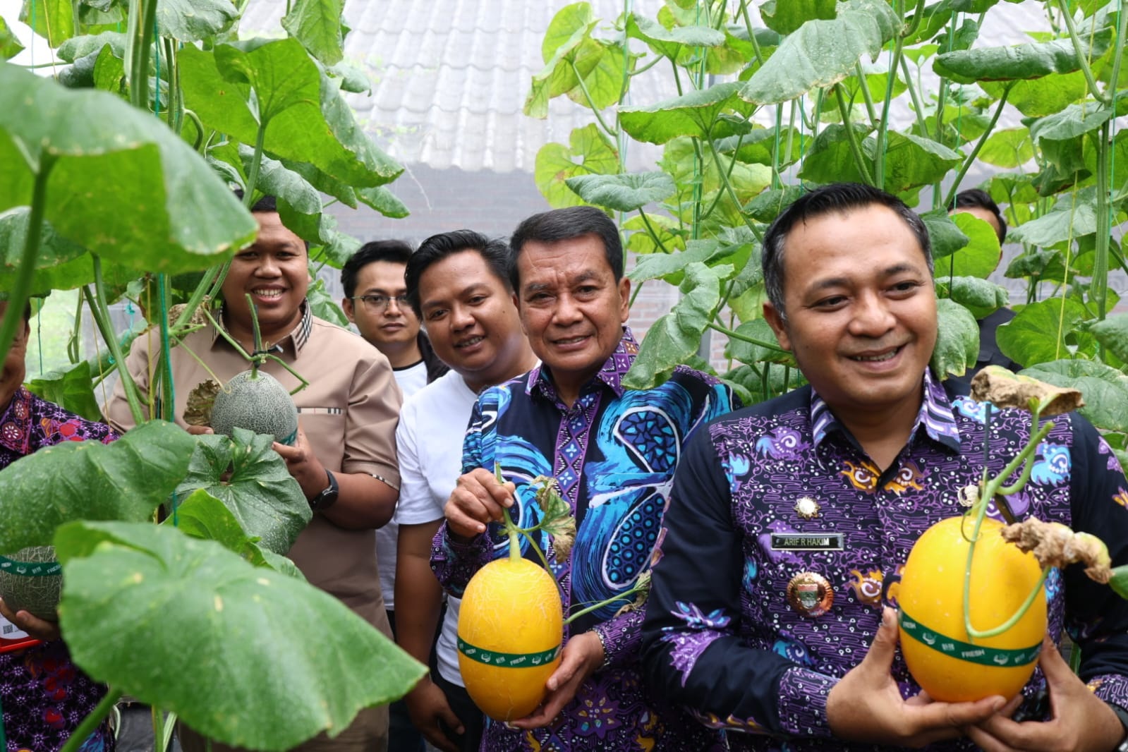 Bupati Tangerang Panen Melon Hidroponik Terpadu, Pasok Bibit Untuk Dikembangkan Mandiri