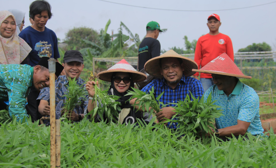 Penjabat Wali Kota Tangerang, Nurdin Panen Kangkung dan Ikan Bareng KWT