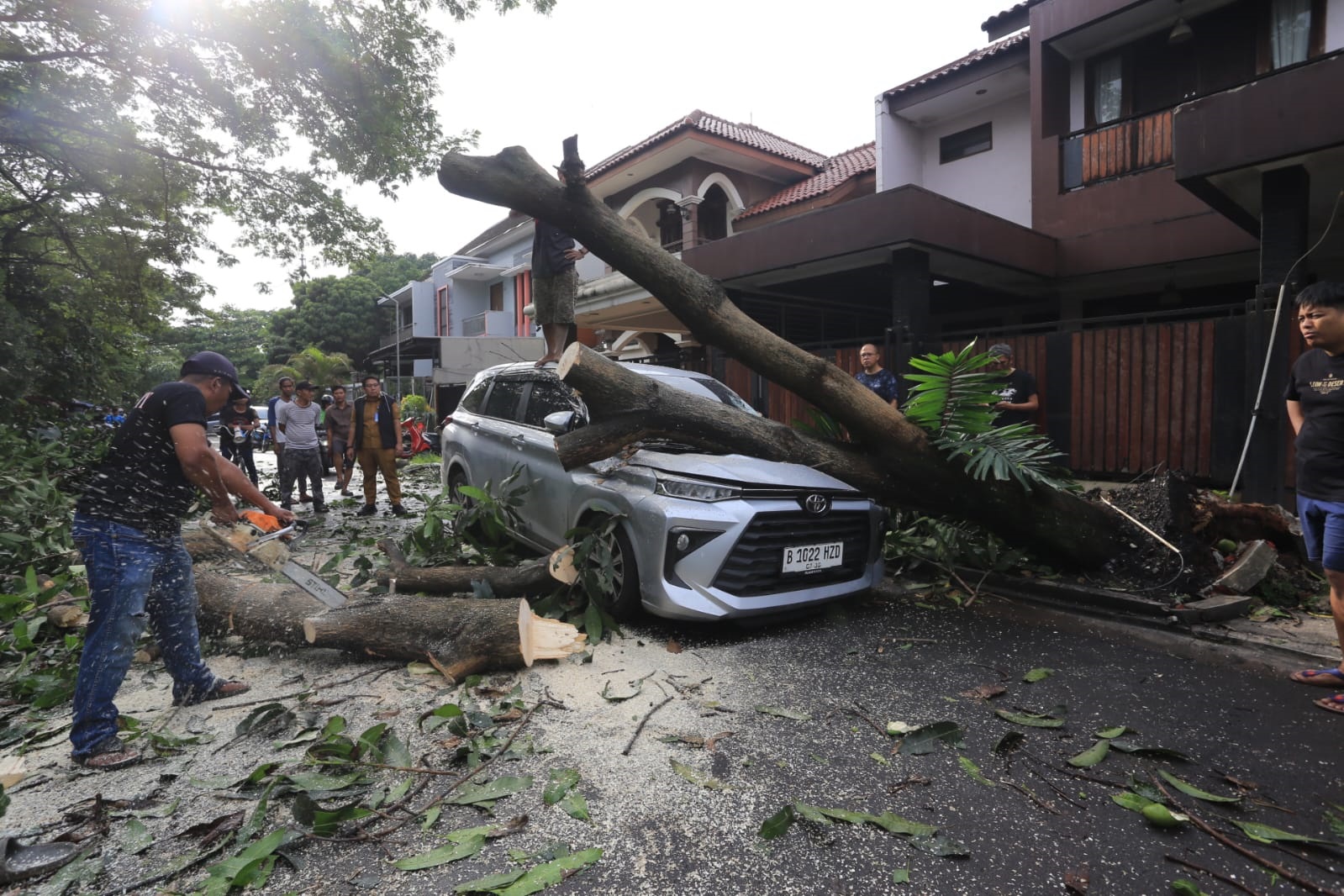 Hujan Disertai Angin Telan Korban, 5 Pohon 1 Reklame Tumbang, Timpa Avanza di BSD