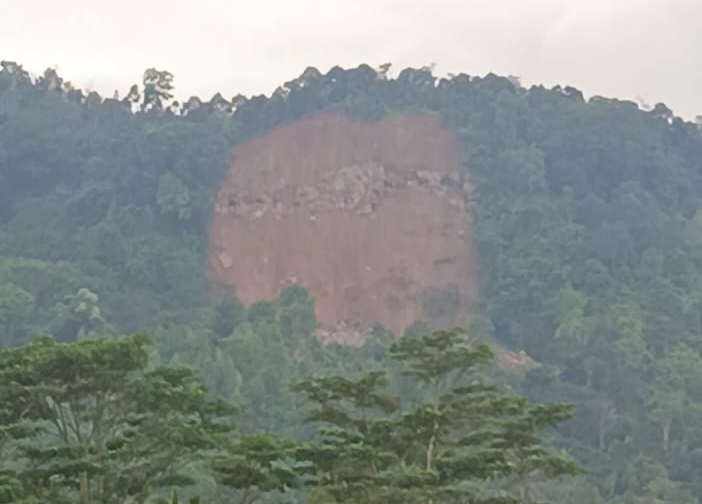 Panen Albasia Jadi Penyebab Longsor Gunung Kaupas