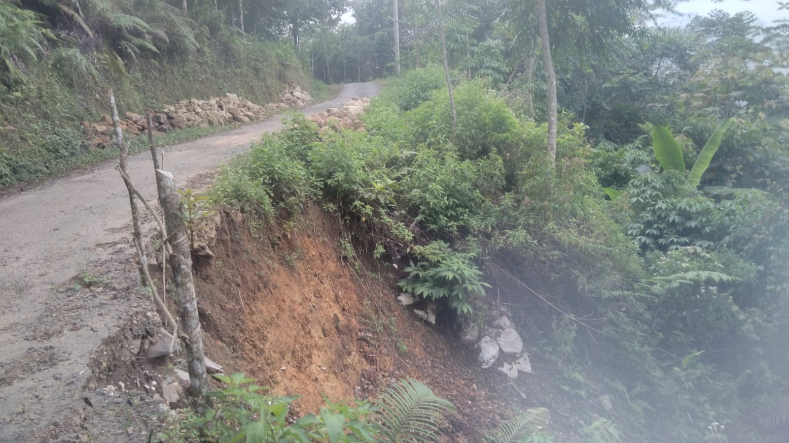 Jalan Wisata Kebun Teh Longsor, Warga Cikuya Terancam Terisolir