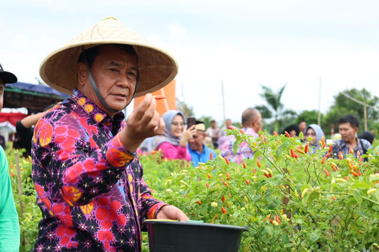 Maesyal Panen Raya Cabai, Program Ketahanan Pangan dan Inflasi