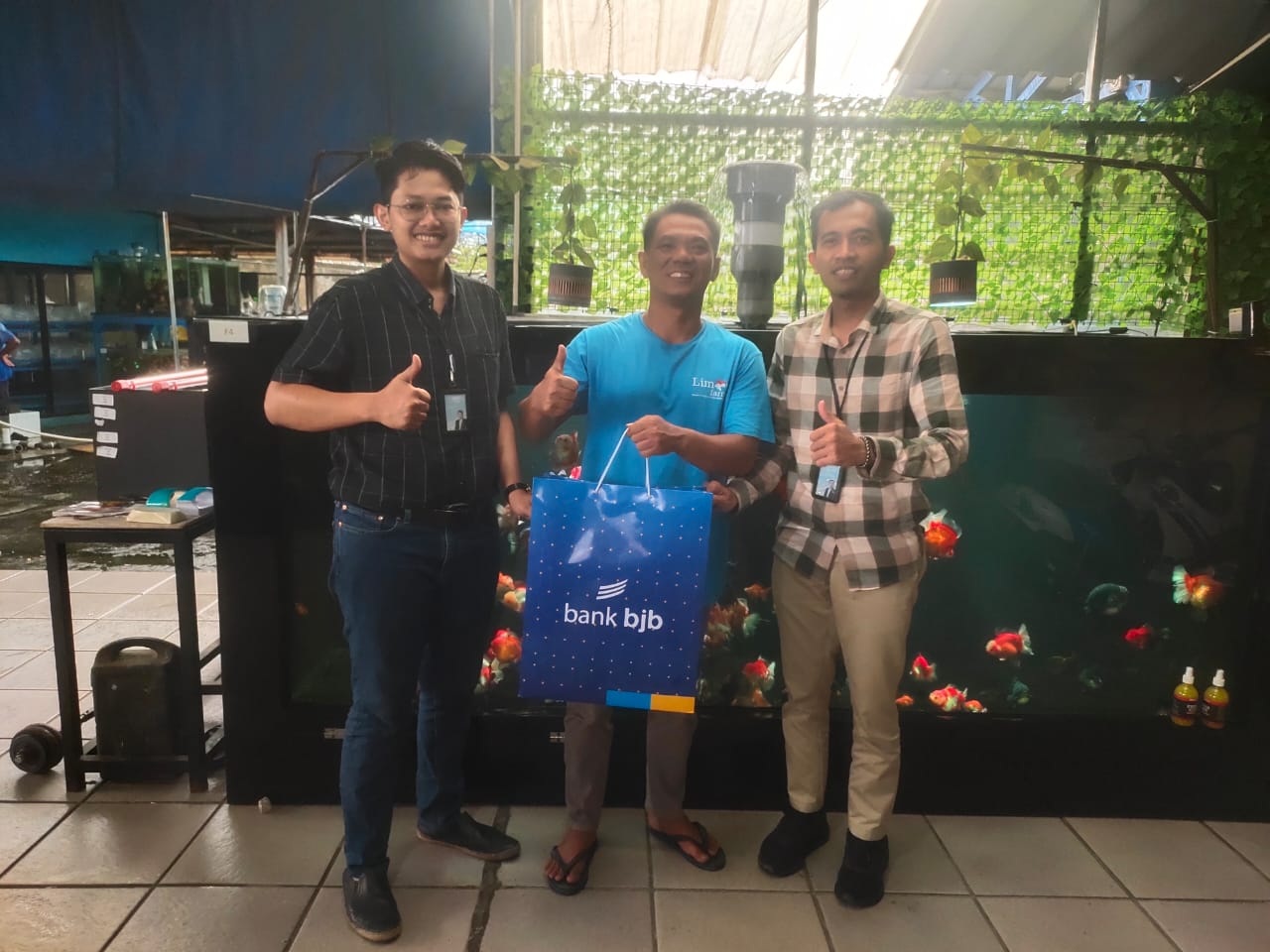 Program Binaan UMKM bjb, Budidaya Ikan Mas Koki Umardani Terkenal Hingga Negara Eropa