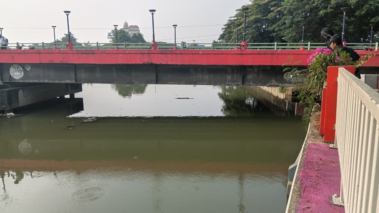 Kualitas Air Cisadane Baik, Tapi Banyak Ikan Ngambang