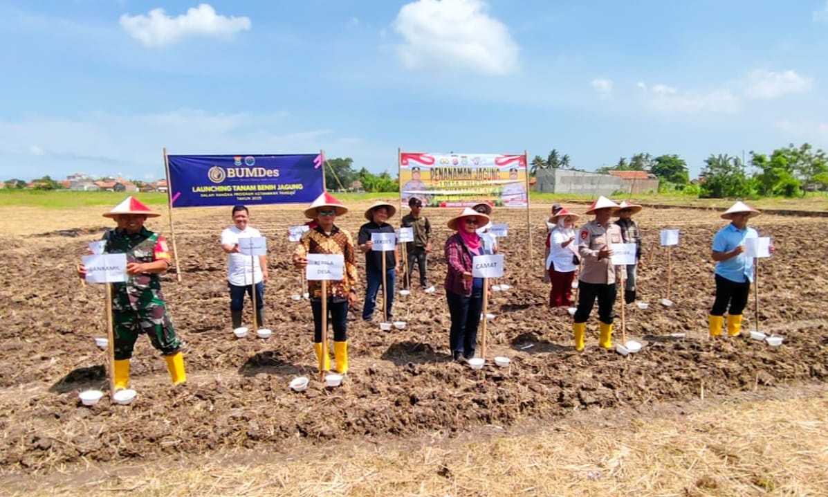 BUMDesa Banyu Asih Optimalkan Dana Desa