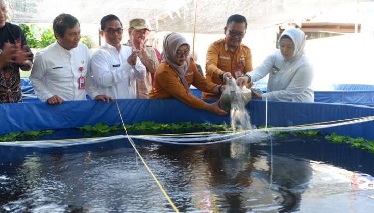 Program 100 Hari Kerja, Dinas Perikanan Salurkan 100 ribu Bibit Ikan Dukung Ketahanan Pangan
