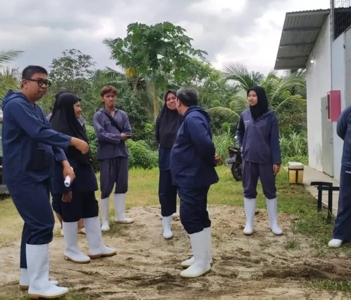 Disnakeswan Lebak Awasi Pengusaha Ayam Petelur