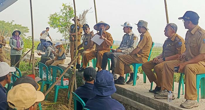Petani Panen Bawang Untung Puluhan Juta