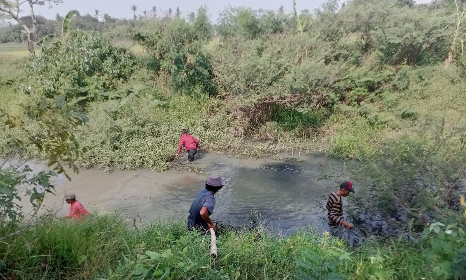 Warga Swadaya Bersihkan Sungai Cileles dari Eceng Gondok dan Sampah