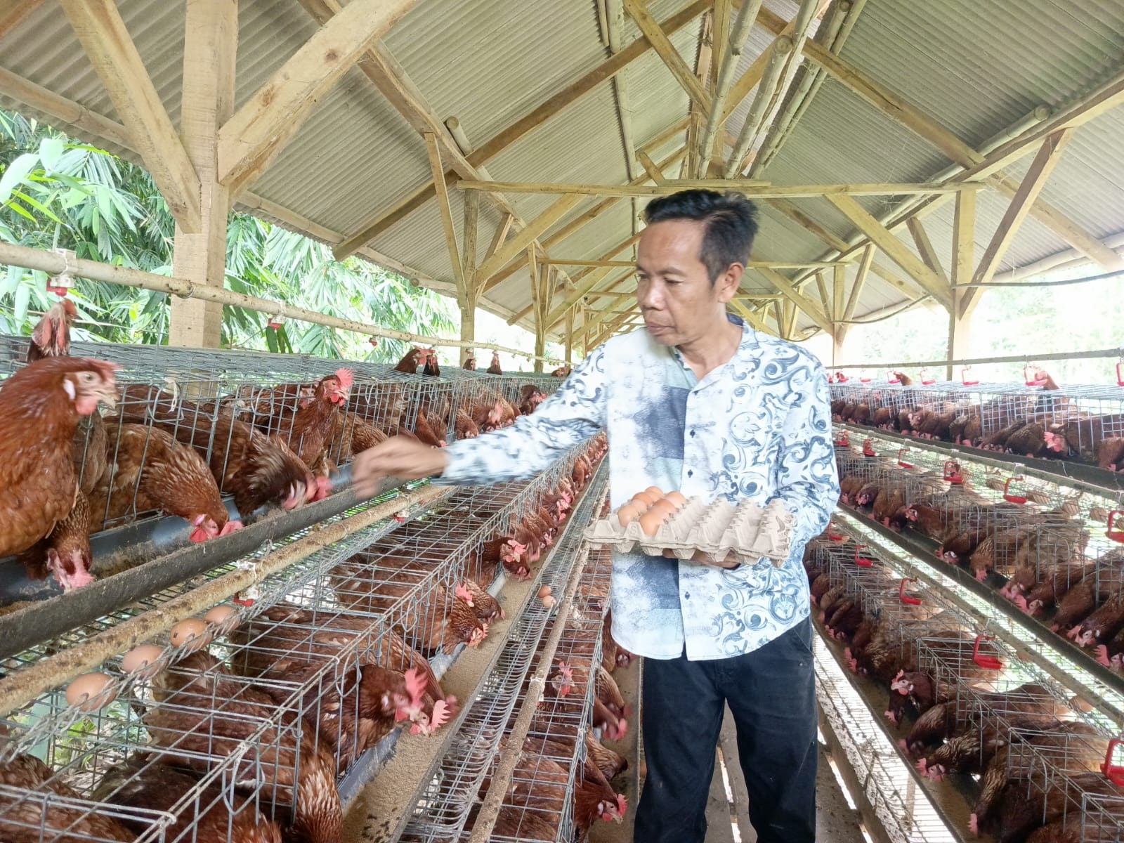 Bumdes Kadugenep Hasilkan 36 Kilogram Telur/Hari