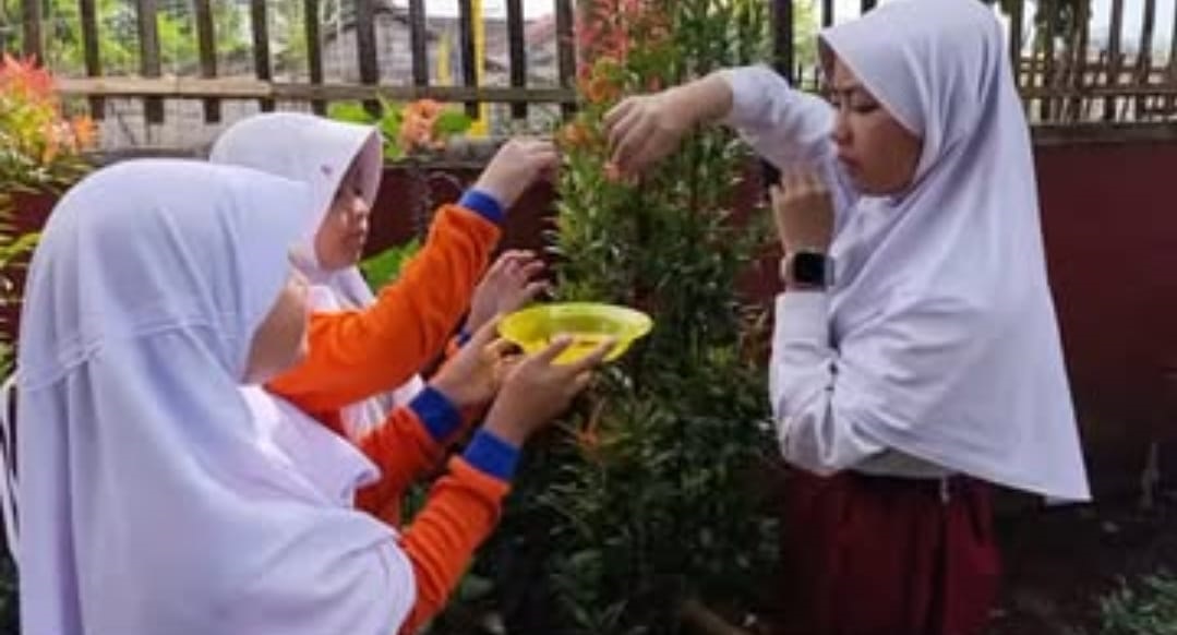 SDN Wanakerta IV Ciptakan Teh Merah untuk Minuman Herbal
