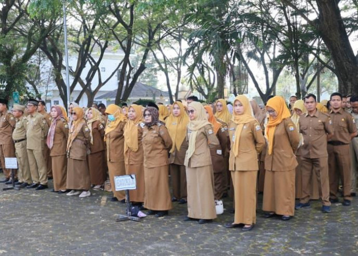 Pemkot Serang Targetkan Efisiensi Rp13 Miliar dari WFH