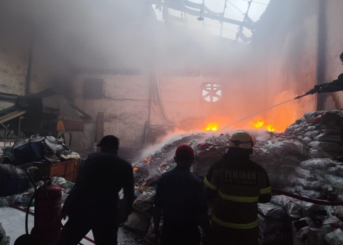 Gudang Limbah Baterai HP Terbakar