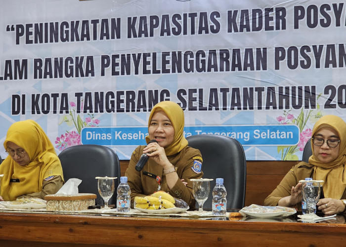 Insentif Kader Posyandu Kota Tangsel Tahun Ini Naik