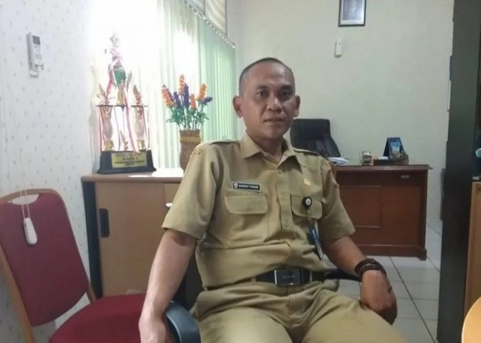 Produksi Padi Lebak Diklaim Surpus