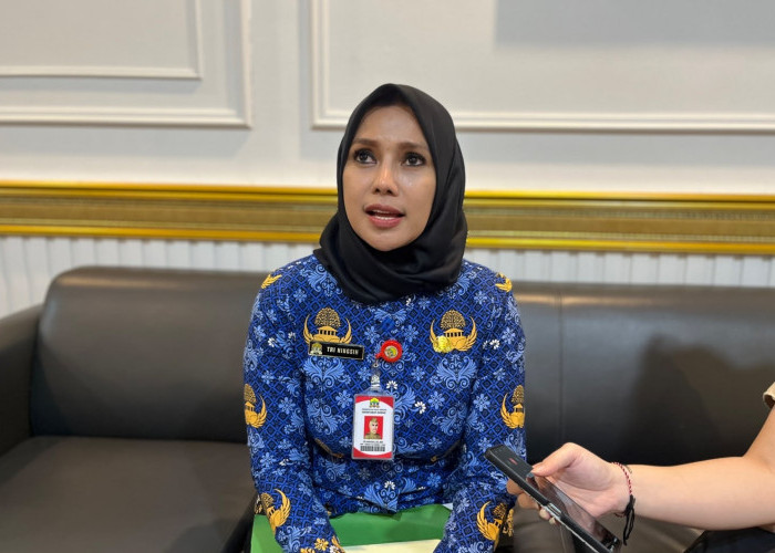 Kadis Kominfo Janji Benahi Sistem Digital