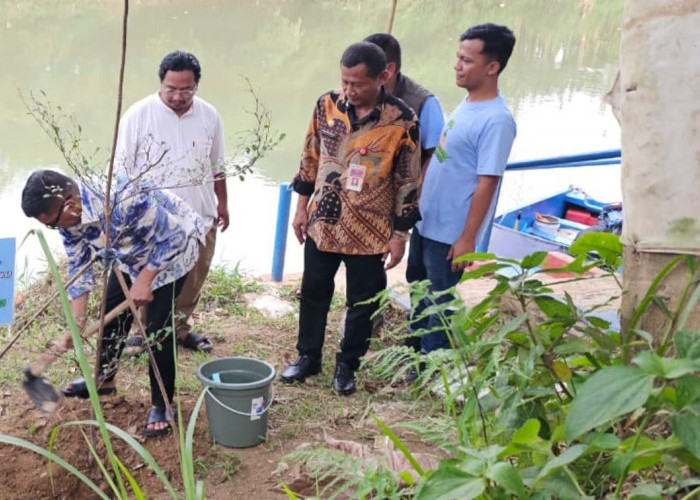 Pemprov dan Komunitas Hijau Tanam 5.000 Pohon