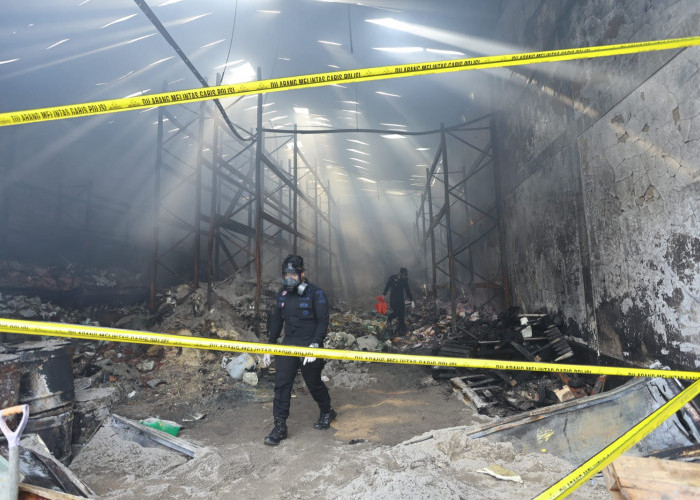 Kebakaran Gudang Pestisida Cemari Lingkungan, Ikan Mati Massal di Sungai Cisadane