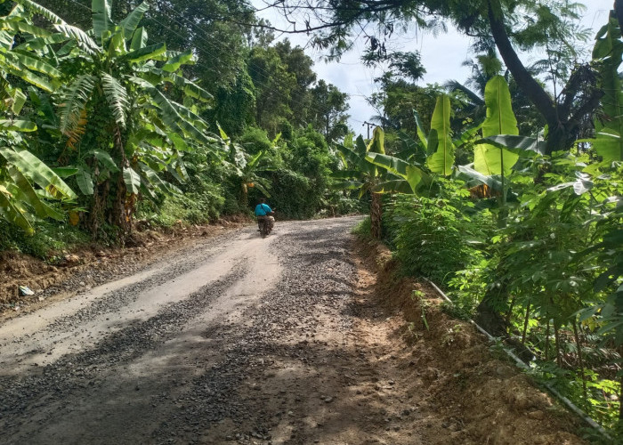 Ruas Jalan Wisata Sawarna Membahayakan 