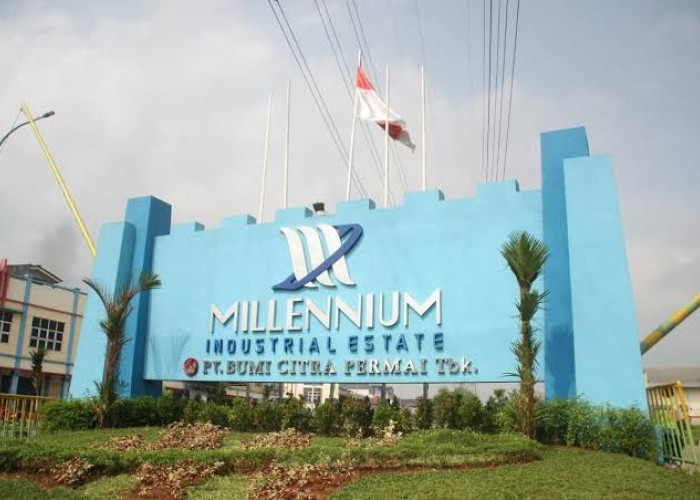 TKA Sumbang PAD Capai Rp13 Miliar, Bekerja di Industri dan Pendidikan