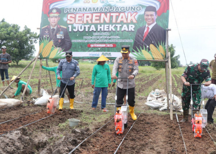 Kapolres Metro Tangerang Realisasi Asta Cita Presiden Prabowo, Penanaman Satu Hektare Jagung Serentak 