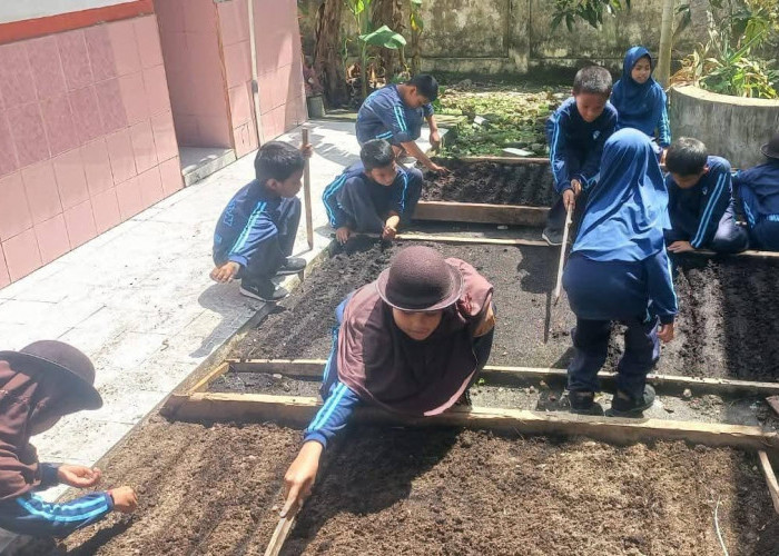 SDN Wanakerta II: Bermain Sambil Bercocok Tanam 