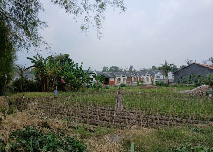 DKPP Distribusikan 44 Alsintan ke Poktan