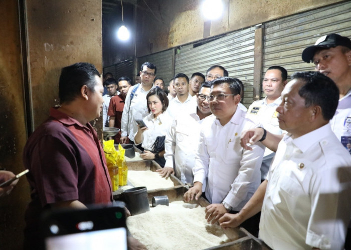 Stok Beras Melimpah, Mendagri Tito Cek Harga di Pasar Rau