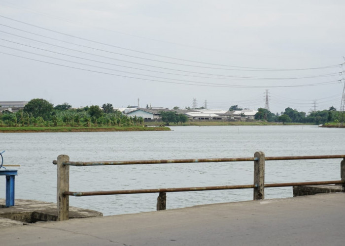 Pintu Penggerak Roda Ekonomi Desa, Potensi Ekonomi Situ Pondok Kecamatan Sindang Jaya