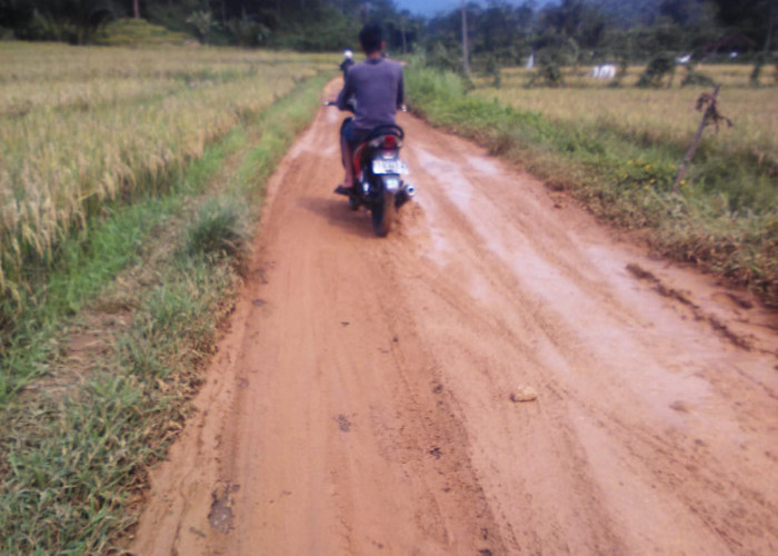 213 Jalan Desa di Lebak Diusulkan Masuk Program Bang Andra 