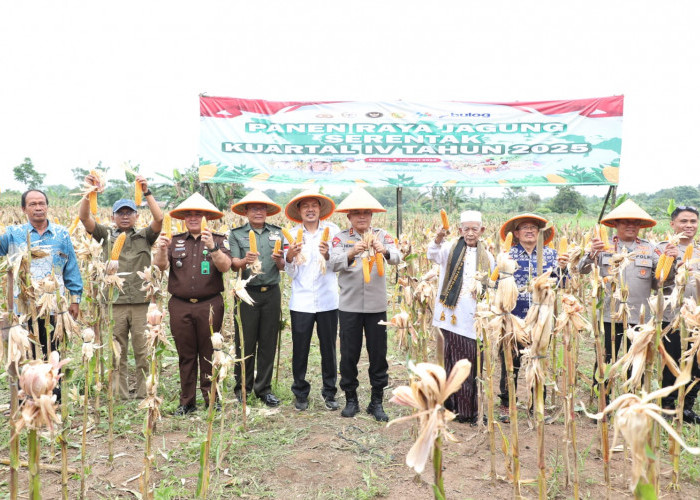 Optimalkan Lahan Kosong, Kapolda Dorong Pemkot Serang Tanaman Jagung