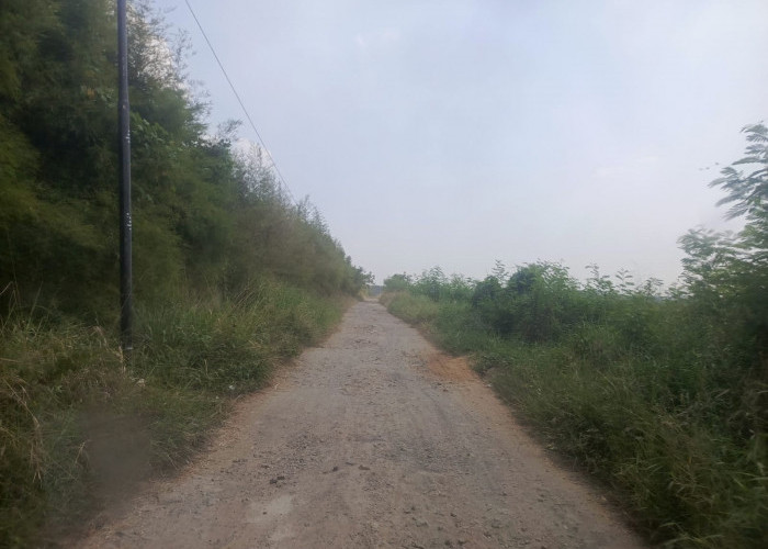 Najib Soroti Jalan Rusak Menuju Puskesmas Kibin