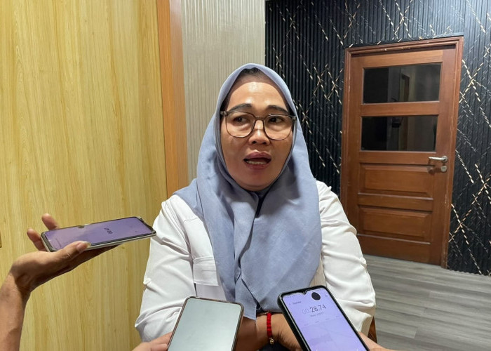 Dewan Dukung Langkah Pengembangan Potensi Parkir 