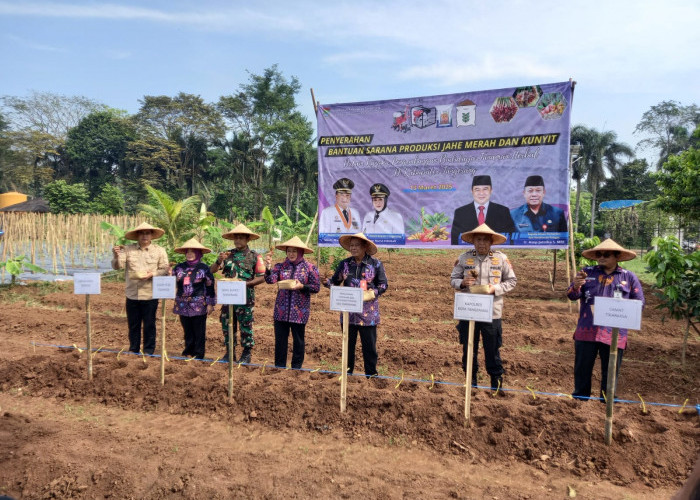 Wakil Bupati Serahkan Bantuan Sarana Produksi Kunyit dan Jahe ke 19 Poktan di Desa Sodong  