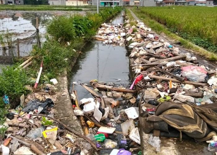 Kades Keluhkan Sampah Kiriman, Berasal dari Saluran Air Sekunder Ketapang