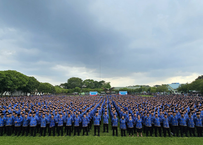 Tunjangan PPPK Dibayar Tahun Depan