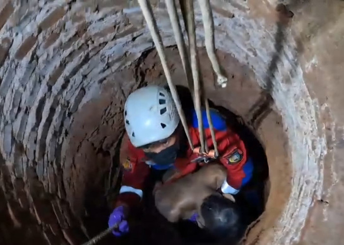 Kakek di Ciputat Ditemukan Tewas di Dalam Sumur