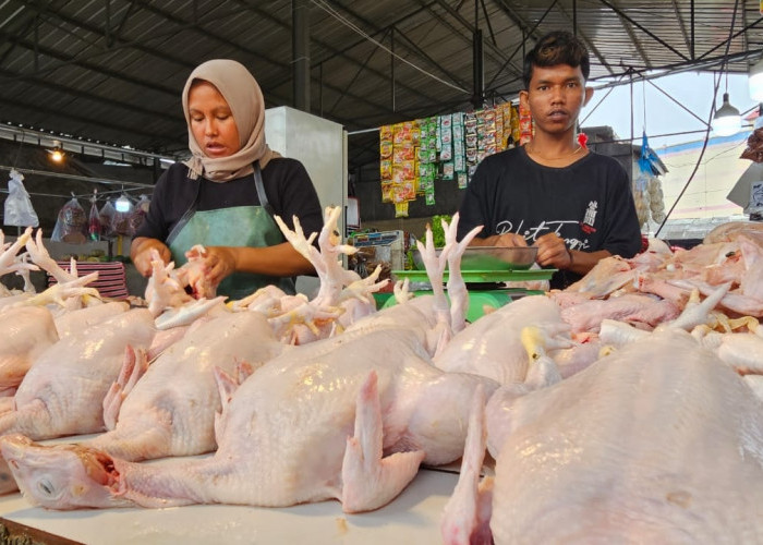 Jelang Nataru, Sejumlah Harga Bahan Pokok Naik