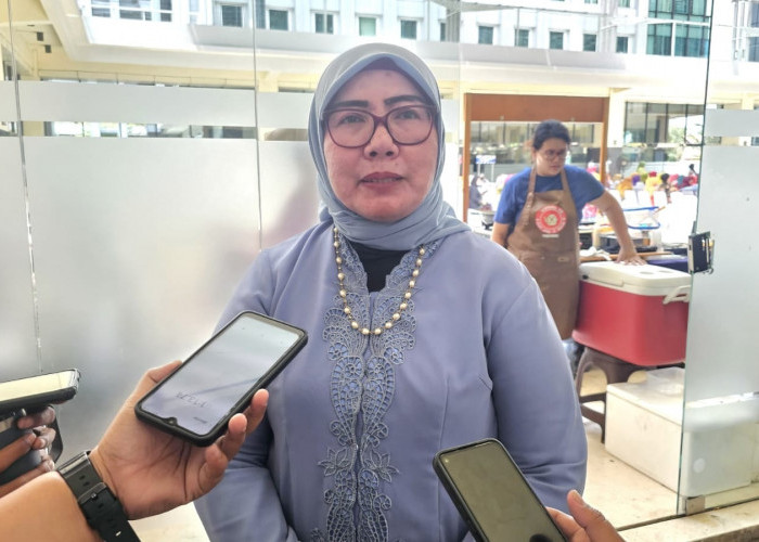 Kasus Kekerasan Perempuan Didominasi Anak-anak, Dewan Minta Ada Penanganan Jemput Bola