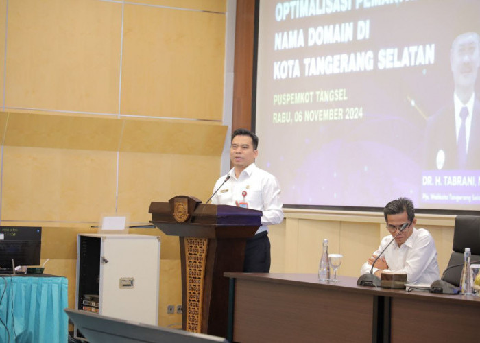 Optimalisasi Nama Domain Jadi Upaya Efektivitas Digitalisasi Pemkot Tangsel