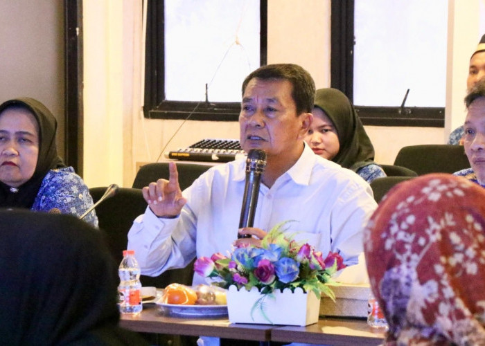 Puluhan Mahasiswa Kuliah Gratis di Mesir, Beasiswa Pemkab Tangerang  