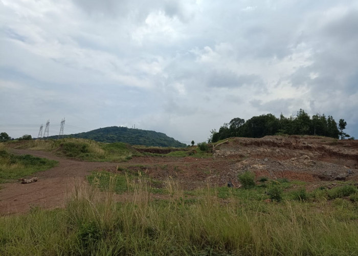 Ribuan Hektare Lahan di Kabupaten Serang Kritis 