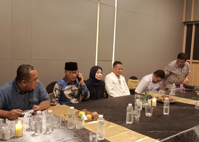 Ratu Rachmatu Zakiyah Bangun Koalisi di Pilkada Kabupaten Serang