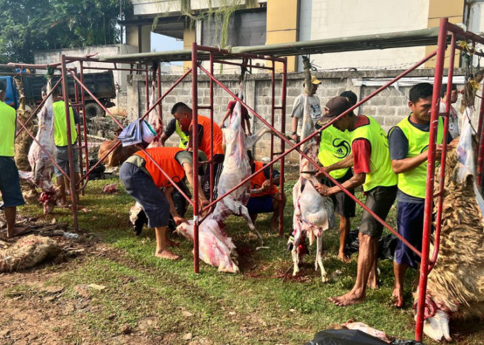 PT Adhimix Precast Indonesia Sebar 1.200 Daging Kurban ke Masyarakat Tangerang