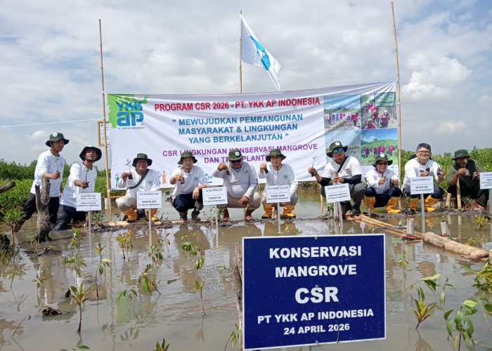 PT YKK AP Indonesia Tanam 5.000 Mangrove di Pesisir Tangerang
