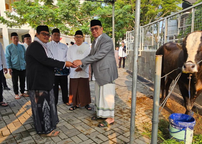 Pemkot Tangsel Salurkan 94 Ekor Hewan Kurban