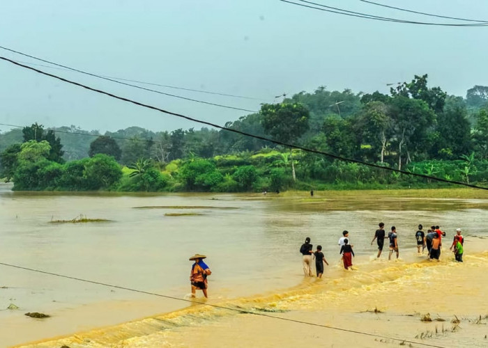 Terendam Banjir, 252,7 Hektar Sawah di Lebak Terancam Gagal Panen